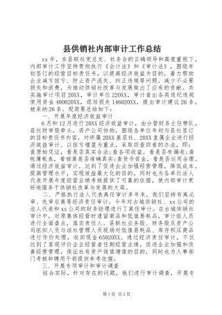 2024年县供销社内部审计工作总结