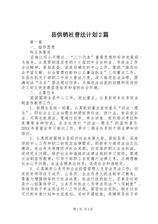 2024年县供销社普法计划篇