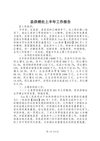 2024年县供销社上半年工作报告