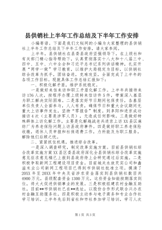 2024年县供销社上半年工作总结及下半年工作安排