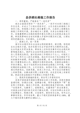 2024年县供销社维稳工作报告