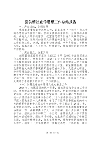 2024年县供销社宣传思想工作总结报告
