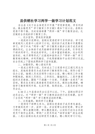 2024年县供销社学习两学一做学习计划范文