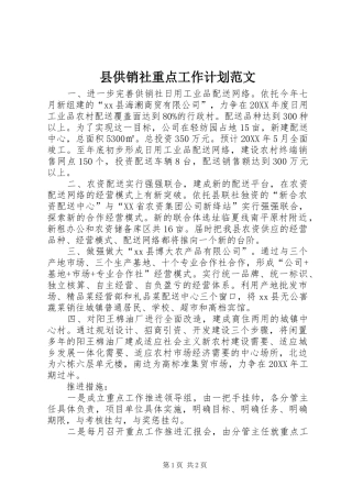 2024年县供销社重点工作计划范文