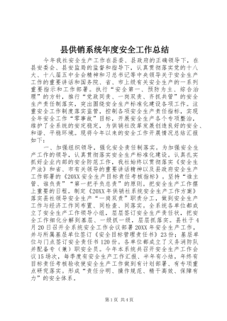 2024年县供销系统年度安全工作总结