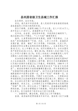 2024年县巩固省级卫生县城工作汇报