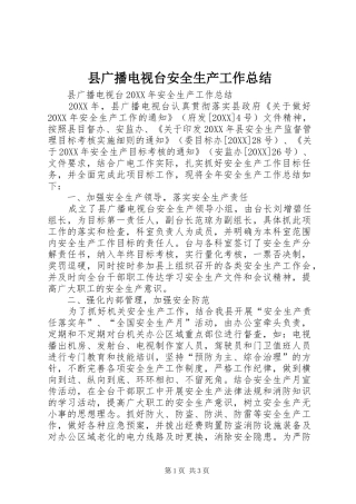 2024年县广播电视台安全生产工作总结