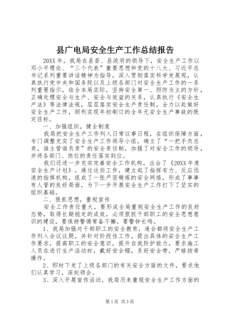 2024年县广电局安全生产工作总结报告