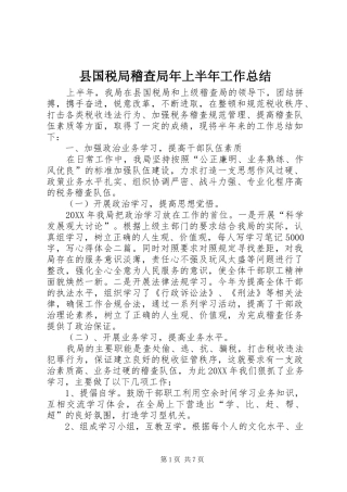 2024年县国税局稽查局年上半年工作总结