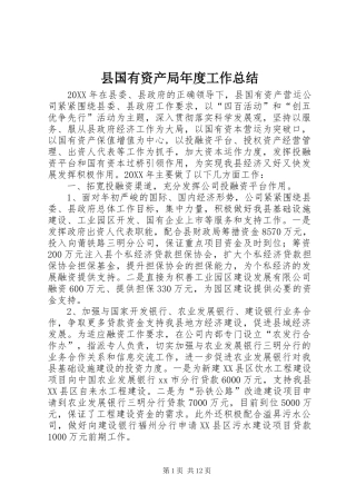 2024年县国有资产局年度工作总结