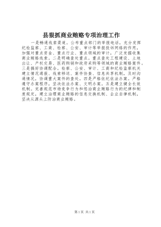 2024年县狠抓商业贿赂专项治理工作