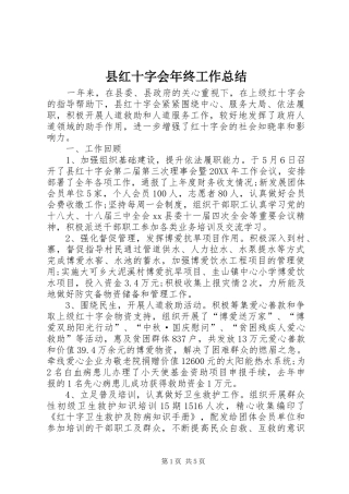 2024年县红十字会年终工作总结
