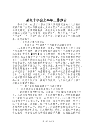 2024年县红十字会上半年工作报告