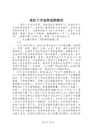 2024年县红十字会终述职报告