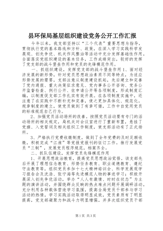 2024年县环保局基层组织建设党务公开工作汇报