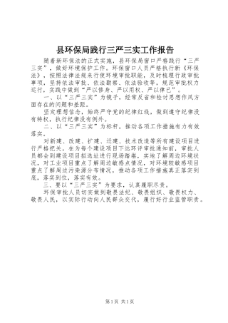 2024年县环保局践行三严三实工作报告