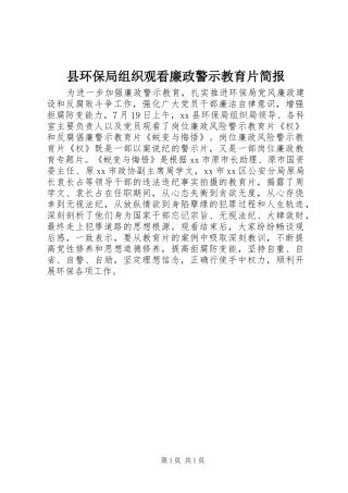 2024年县环保局组织观看廉政警示教育片简报