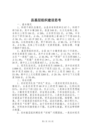 2024年县基层组织建设思考