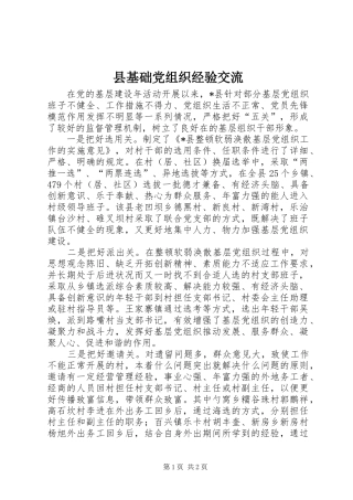 2024年县基础党组织经验交流