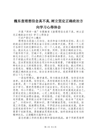 2024年魏东查理想信念真不真树立坚定正确政治方向学习心得体会