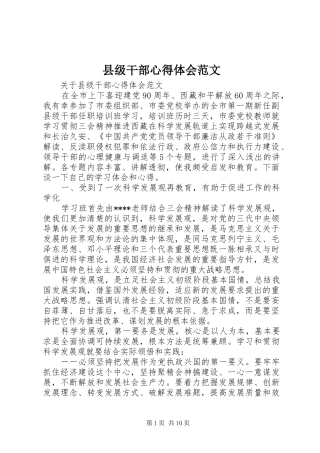 2024年县级干部心得体会范文