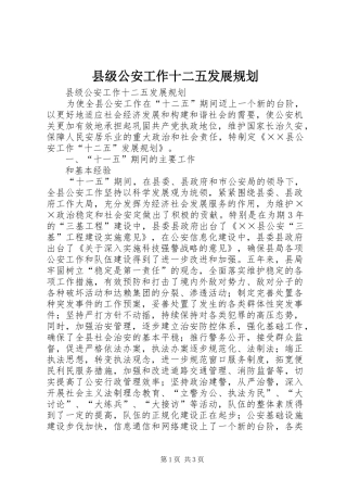 2024年县级公安工作十二五发展规划