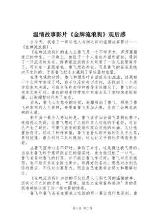 2024年温情故事影片金牌流浪狗观后感