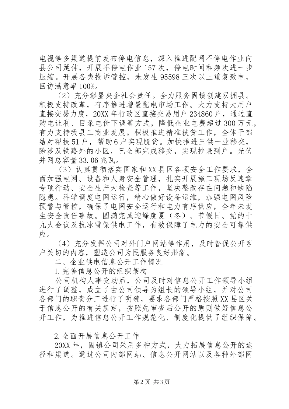 2024年县级供电公司工作总结_第2页