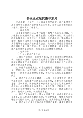 2024年县级企业包扶指导意见