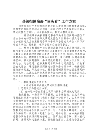 2024年县级扫黑除恶回头看工作方案