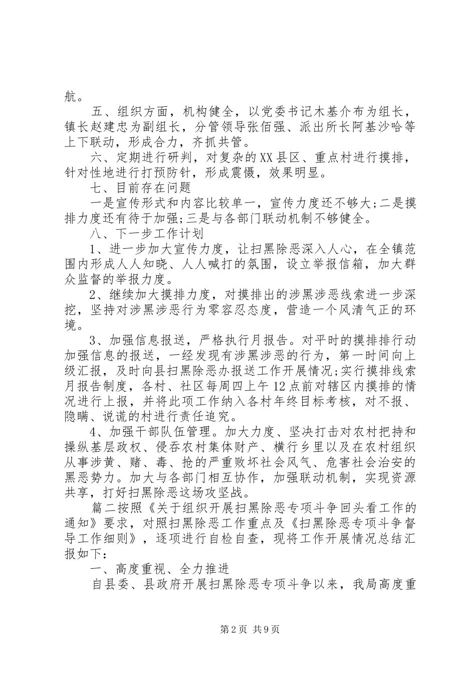 2024年县级扫黑除恶年度总结_第2页