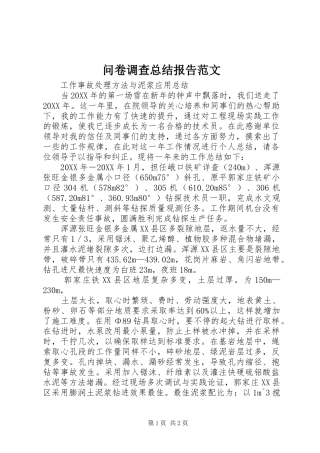 2024年问卷调查总结报告范文