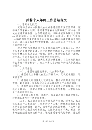 2024年武警个人年终工作总结范文
