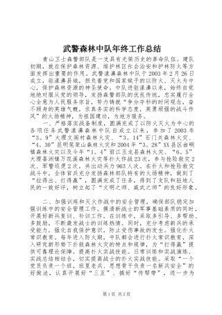 2024年武警森林中队年终工作总结