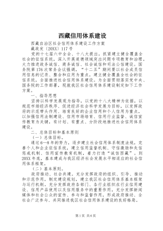 2024年西藏信用体系建设