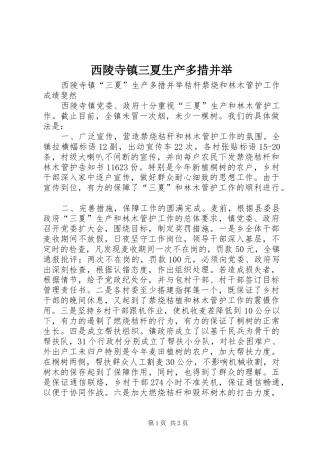 2024年西陵寺镇三夏生产多措并举