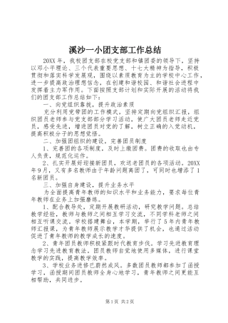 2024年溪沙一小团支部工作总结
