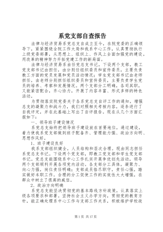 2024年系党支部自查报告