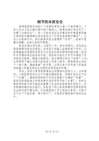 2024年细节的本质安全