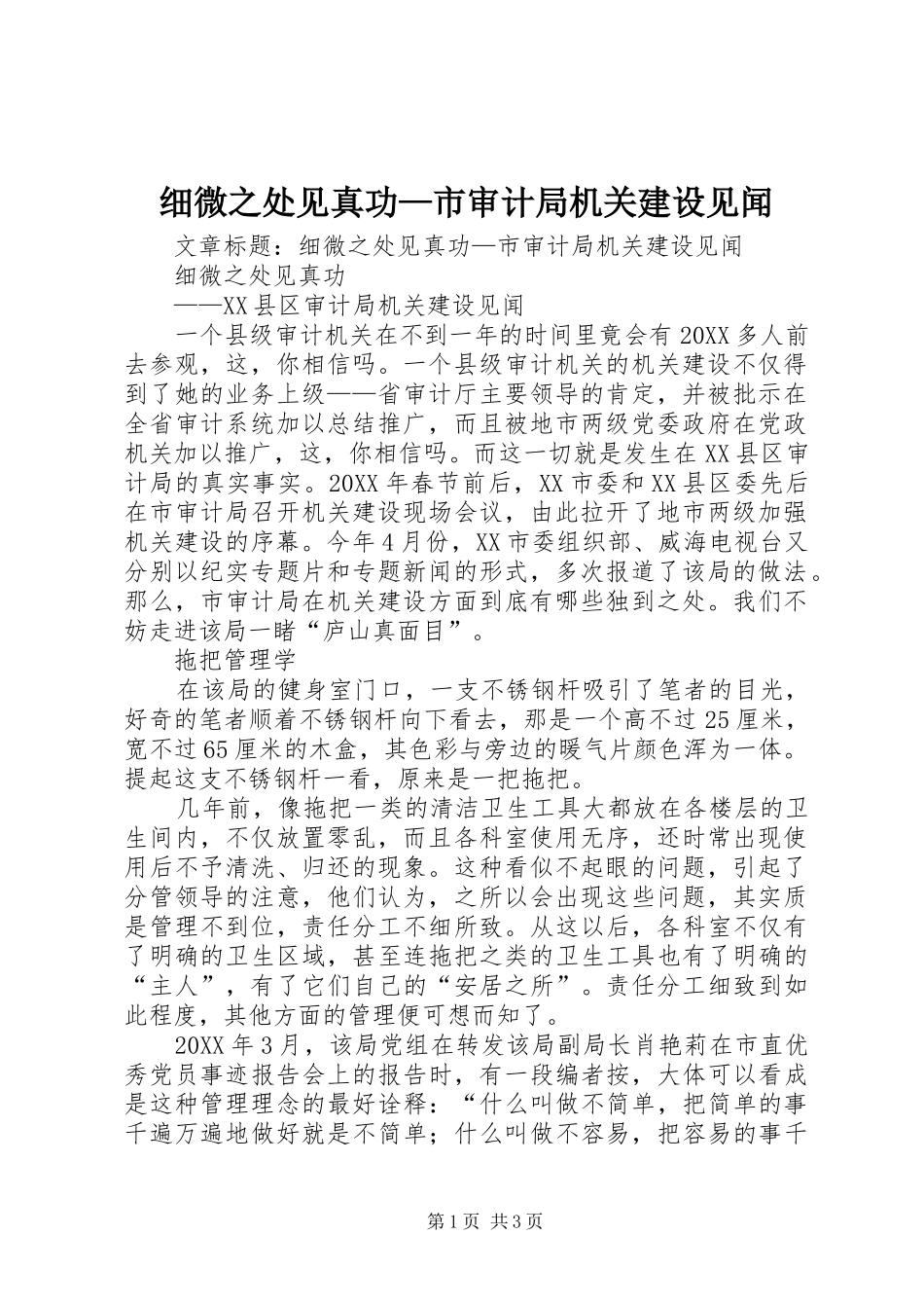 2024年细微之处见真功市审计局机关建设见闻_第1页