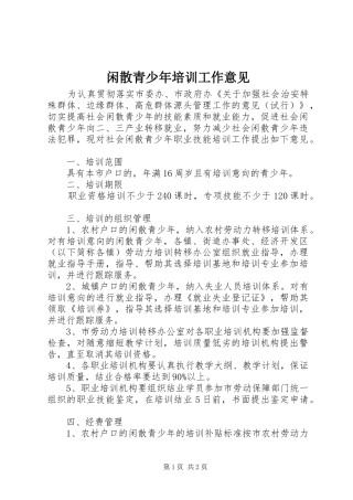 2024年闲散青少年培训工作意见