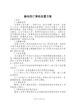 2024年触电伤亡事故处置方案