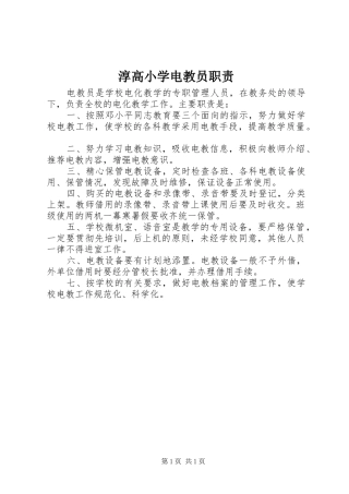 2024年淳高小学电教员职责