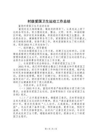 2024年村级爱国卫生运动工作总结