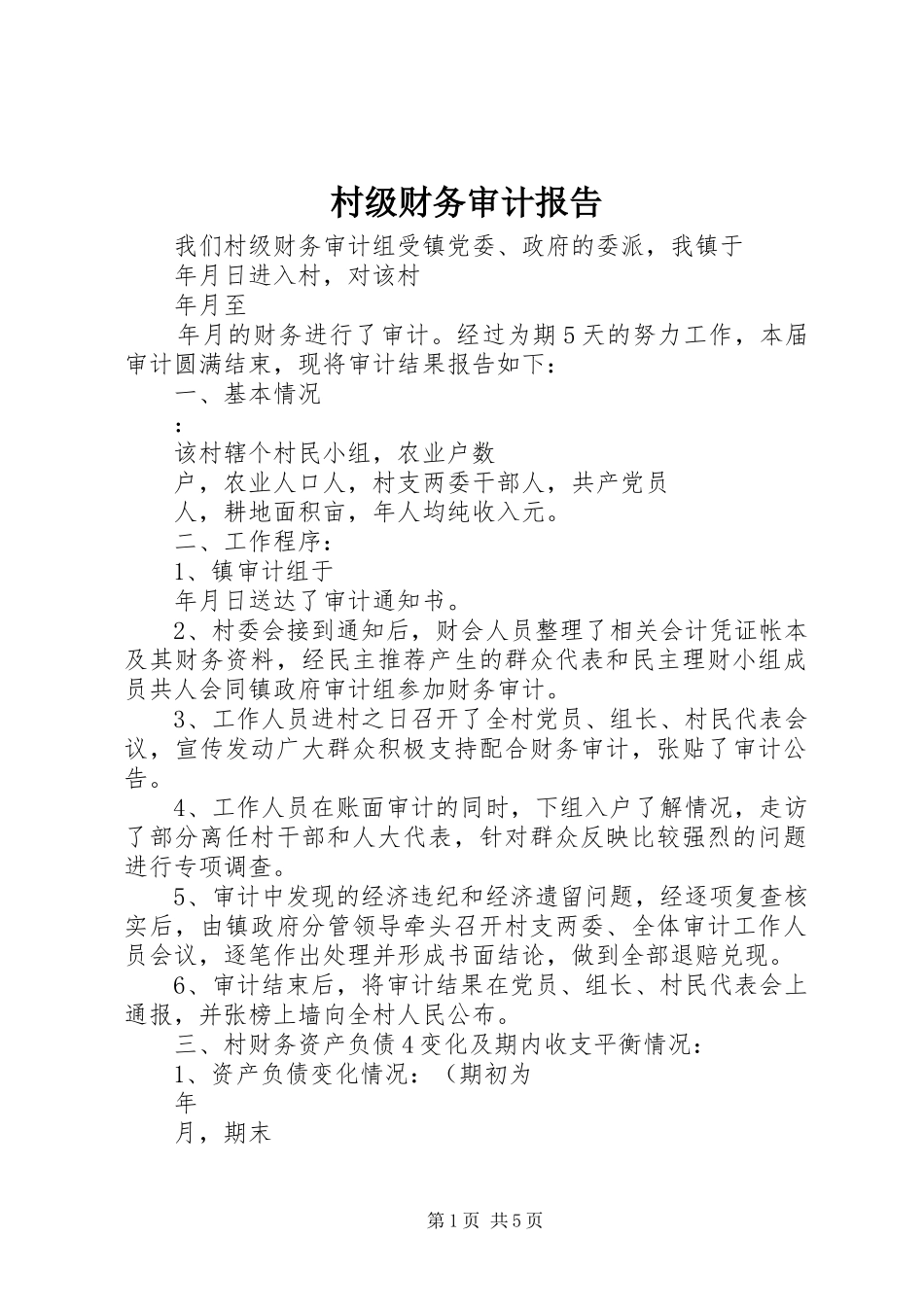 2024年村级财务审计报告_第1页