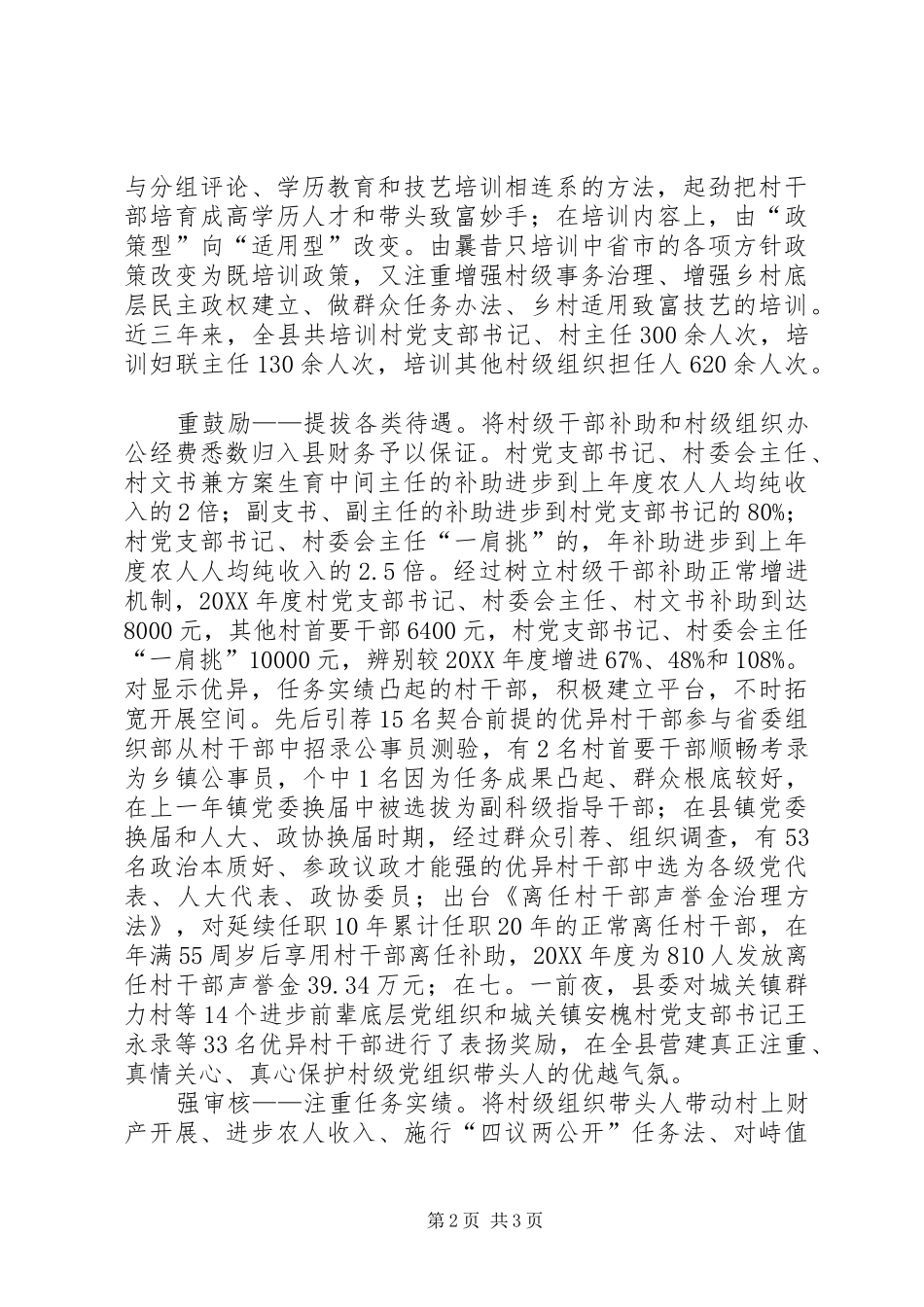 2024年村级带头人构建经验交流_第2页