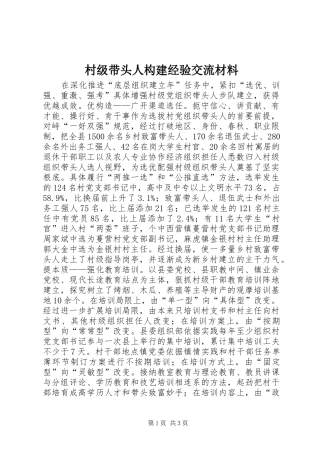 2024年村级带头人构建经验交流材料