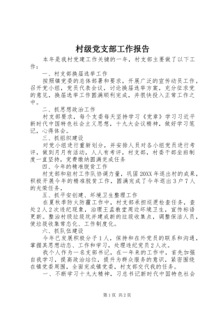 2024年村级党支部工作报告