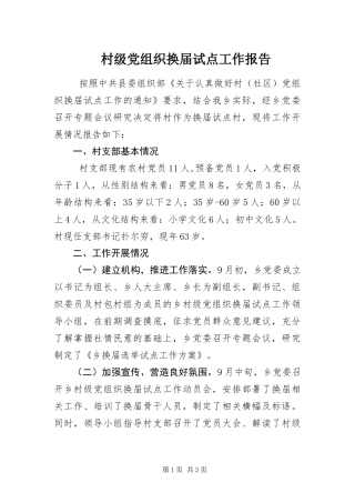 2024年村级党组织换届试点工作报告