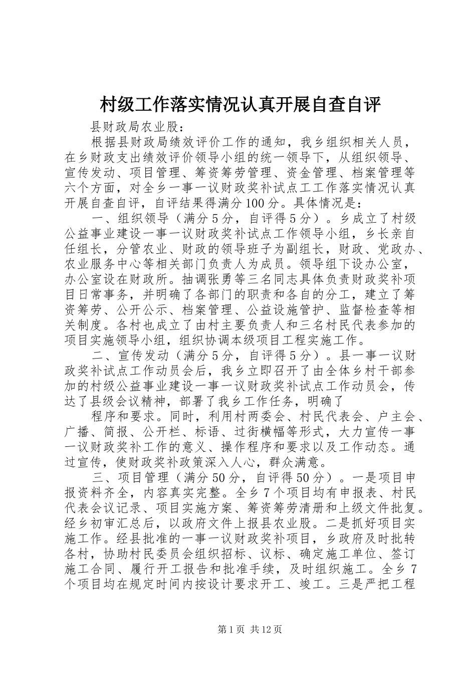 2024年村级工作落实情况认真开展自查自评_第1页